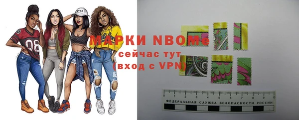 индика Наволоки