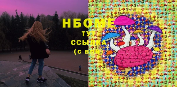 индика Наволоки