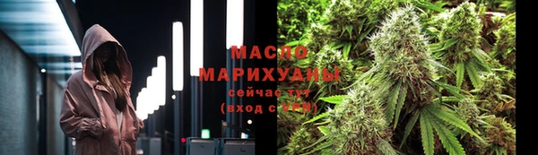 индика Наволоки