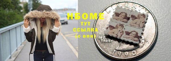 индика Наволоки